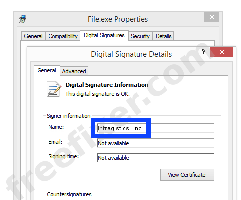 Screenshot of the Infragistics, Inc. certificate
